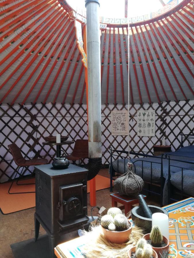 T'eiberveld Yurt Verhuur Luxury tent *