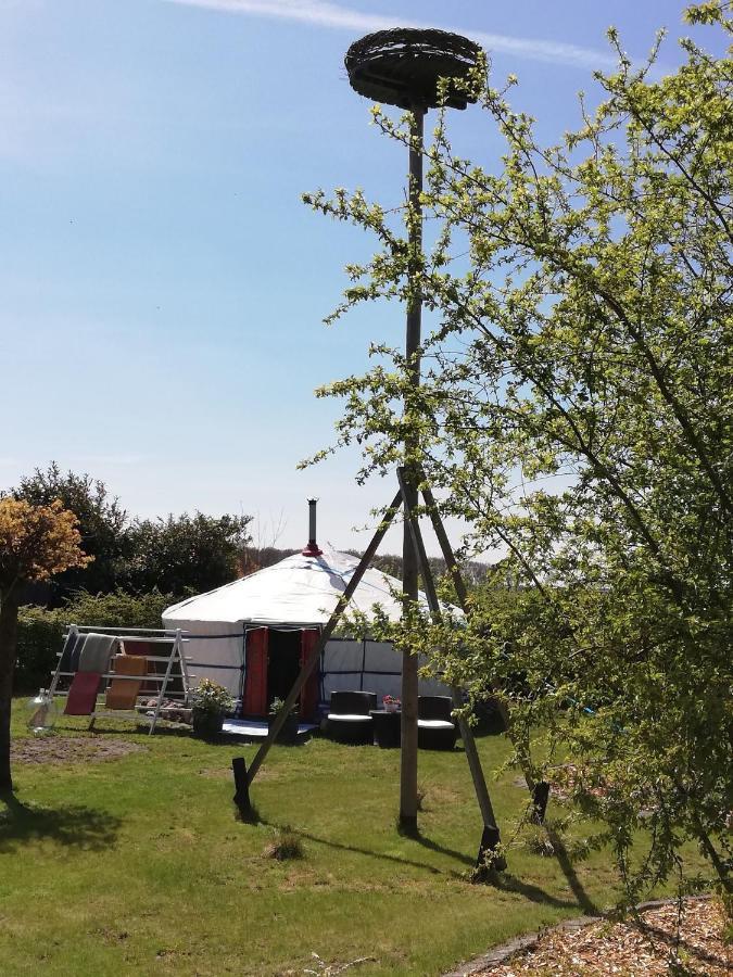T'eiberveld Yurt Verhuur Luxury tent Noord-Sleen